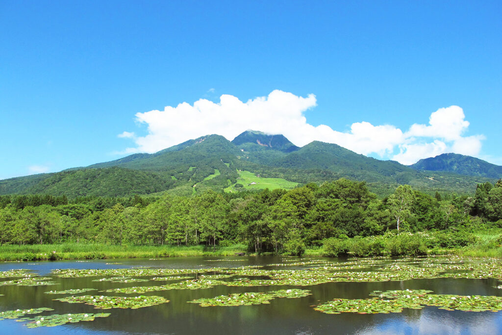 Imori Pond