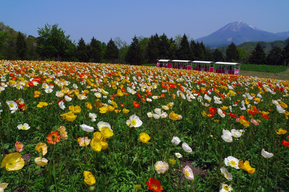 Tottori Prefectural Flower Park Hanakairo