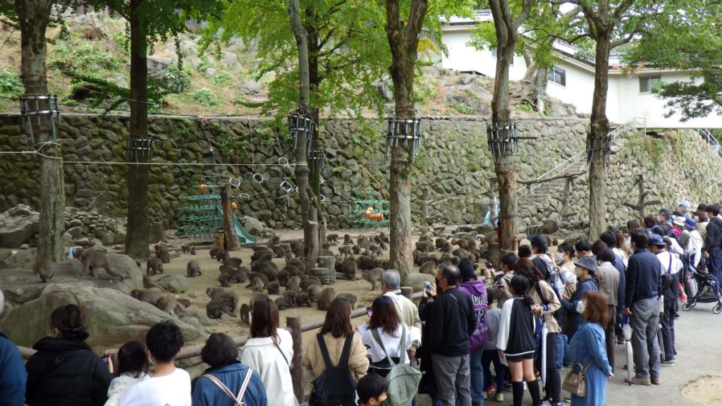 Takasakiyama Natural Zoo